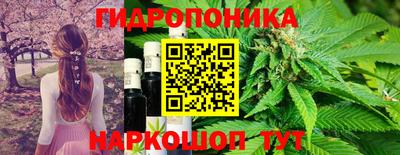дмт Ефремов