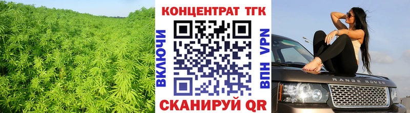 KRAKEN зеркало Заречный ТГК жижа