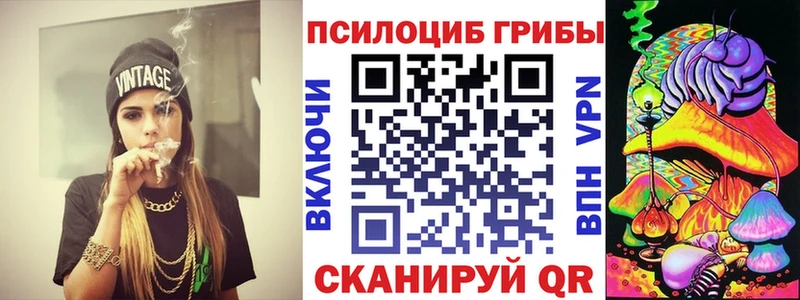 блэк спрут ССЫЛКА  дарк нет наркотические препараты  Псилоцибиновые грибы мицелий  Заречный 