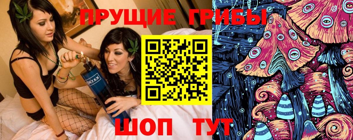 Галлюциногенные грибы Cubensis  Вход с VPN  Заречный  Галлюциногенные грибы Cubensis 